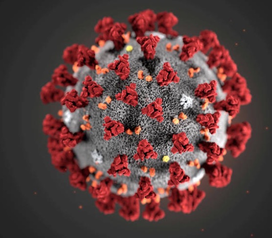 Número de mortes pelo novo coronavírus dispara na França e Itália