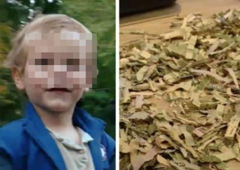 Bebê tritura mais de R$ 5 mil que os pais estavam economizando