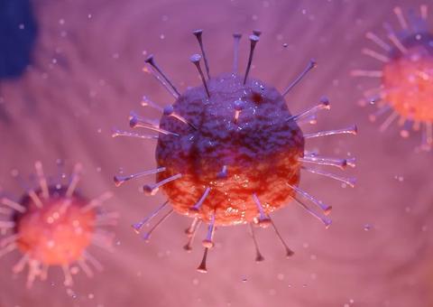 Paraná confirma mais 13 casos do novo coronavírus