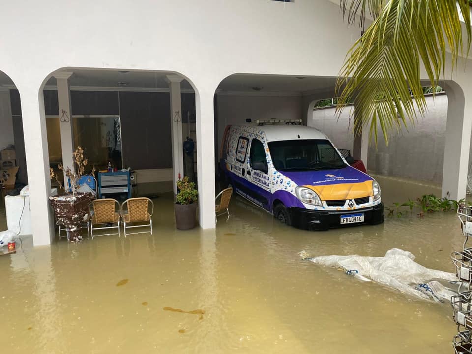 Forte chuva em Manaus faz Joana Darc perder 'tudo’ até carro para resgate de animais