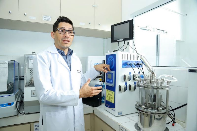 Plantas da Amazônia têm estudo para aplicação em compostos para indústria