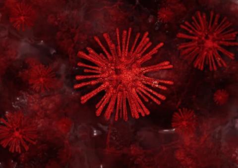 Brasil tem quase 2 mil casos de Covid-19 confirmados e 34 mortes