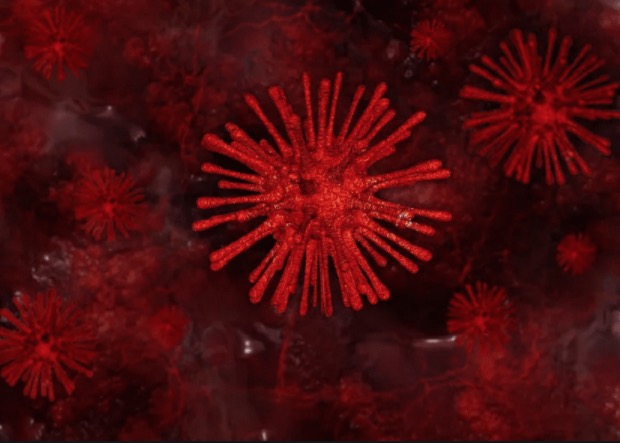 Brasil tem quase 2 mil casos de Covid-19 confirmados e 34 mortes