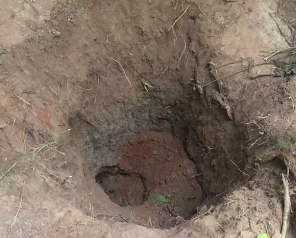 Após revelar estupro, criança é enterrada viva de cabeça para baixo por mãe e irmão