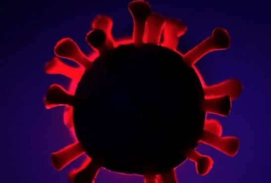 Rio Grande do Sul registra primeira morte por coronavírus no estado