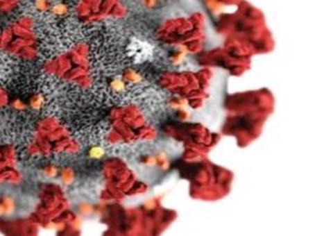 Amazonas confirma 80 casos de coronavírus; mais 13 nesta sexta-feira