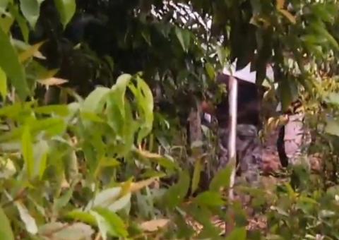 Mulher semi nua é encontrada dentro de saco em área de mata em Manaus 