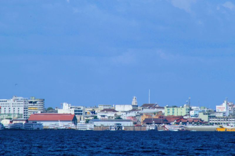 Enchente do rio Negro deve chegar a 28,79 m no Amazonas, diz pesquisador