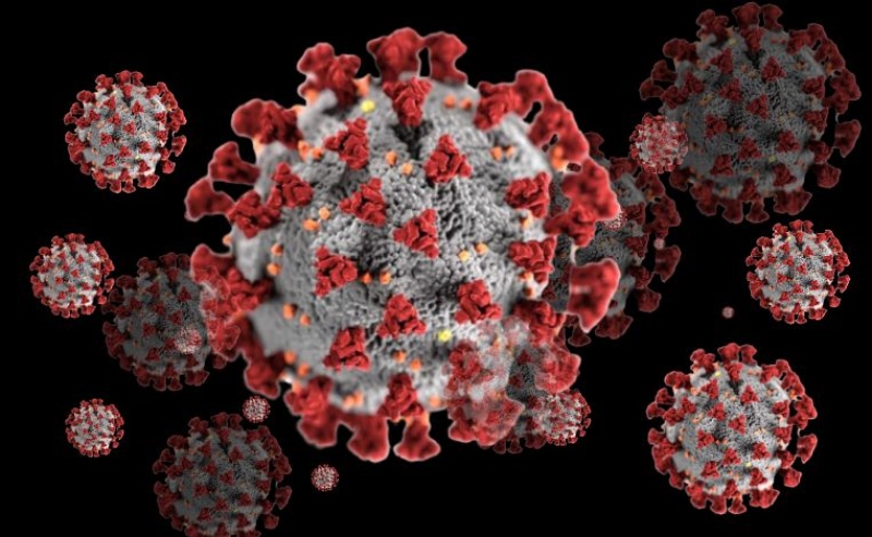 Com morte de jovem de 26 anos por coronavírus, Brasil soma 117 óbitos