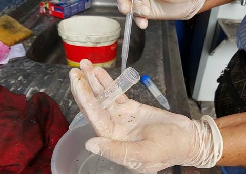 Prevenção ao Aedes deve ser reforçada durante a quarentena em Manaus