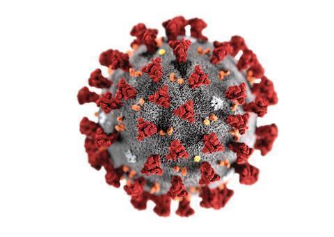 Casos de coronavírus no Amazonas sobem para 175; terceiro óbito é registrado