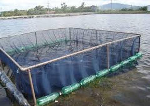 No Amazonas, professor é condenado por não prestar contas de recursos