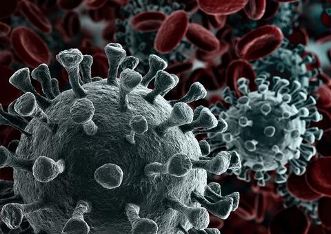 Amazonas possui 12 óbitos notificados por coronavírus, entre elas uma criança 