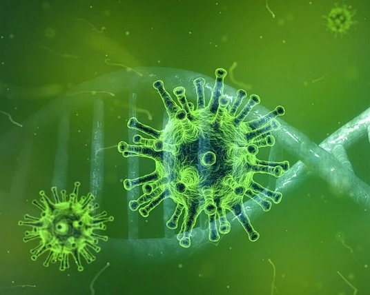 Com 29 novos casos, Amazonas registra 229 infectados por coronavírus