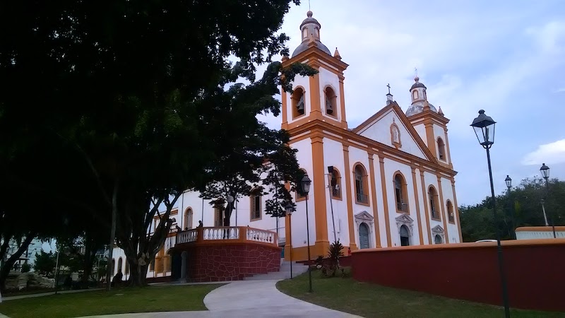 Prodam fornece link para transmitir celebrações da Semana Santa