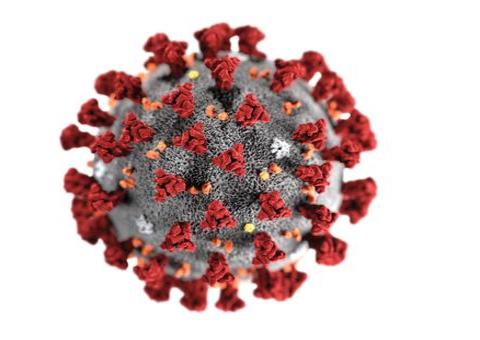 Amazonas tem aumento para 260 casos confirmados de coronavírus