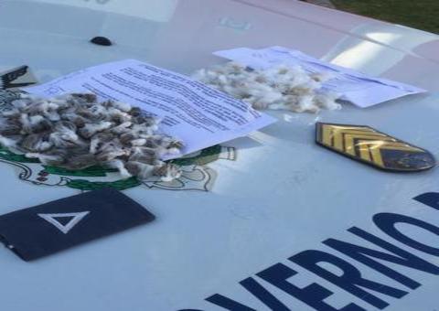 Drogas são encontradas em forro de casa e grupo é preso em Manaus 