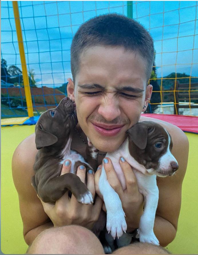 João Guilherme explode fofurômetro ao mostrar novos membros da família