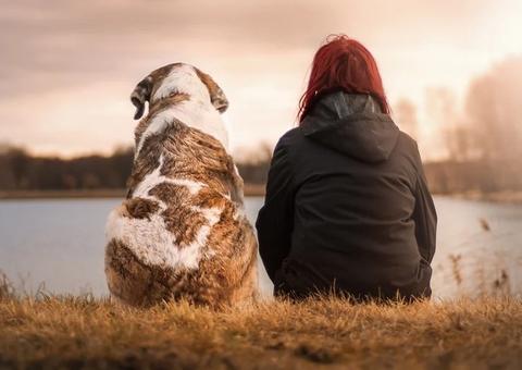 Entenda a diferença entre o coronavírus humano e os coronavírus em animais