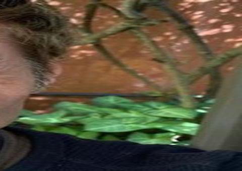 Dinho Ouro Preto desabafa sobre isolamento durante tratamento do coronavírus