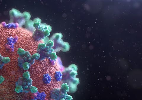 Ceará deve ser o 1º estado a atingir pico de infecção, diz estudo