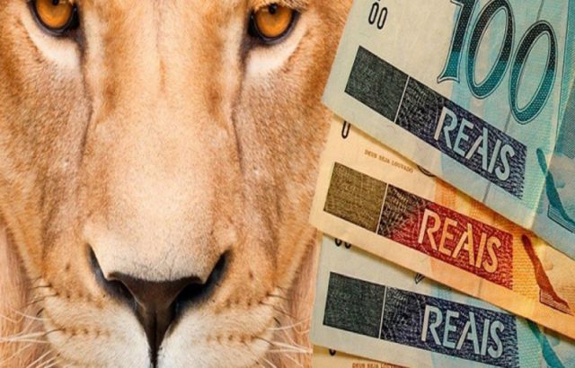 Simples Nacional prorroga recolhimento de tributos para MEIs por 6 meses