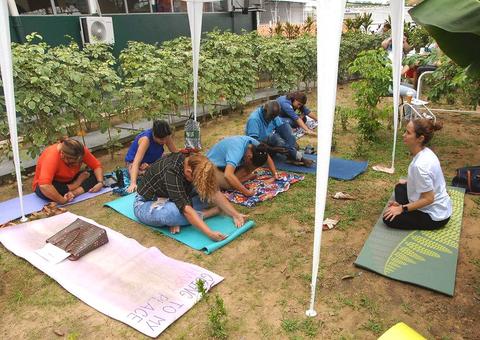 Lei municipal reforça práticas alternativas de saúde em Manaus