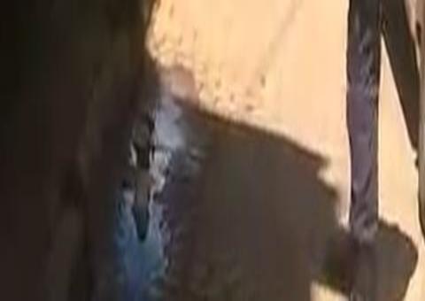 Cadeirante arranca parte da orelha de policial durante abordagem 