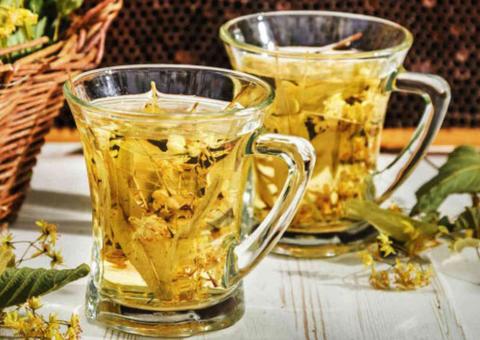 Chá de carqueja protege cérebro e coração; conheça benefícios