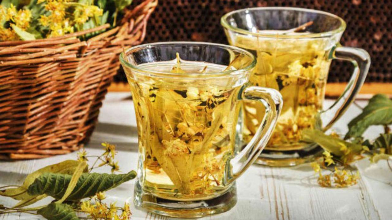 Chá de carqueja protege cérebro e coração; conheça benefícios