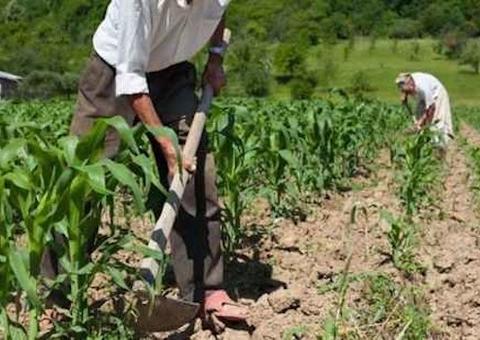 Por ter vínculo a trabalho urbano, Justiça nega aposentadoria rural
