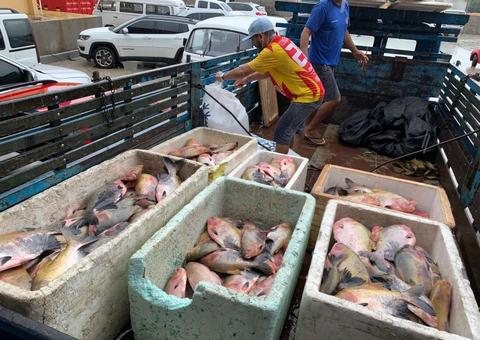 No Amazonas, entidades civis recebem 16 toneladas de pescado doado