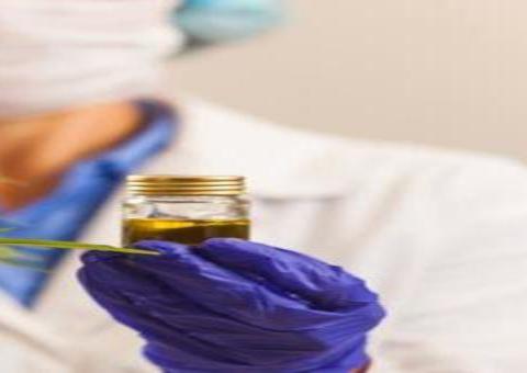 Solicitação para vender produtos derivados da maconha no Brasil pode ser feita online