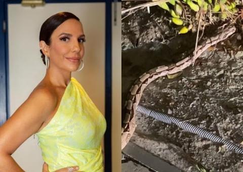 Ivete Sangalo e Claudia Leitte recebem surpresas inusitadas em suas casas