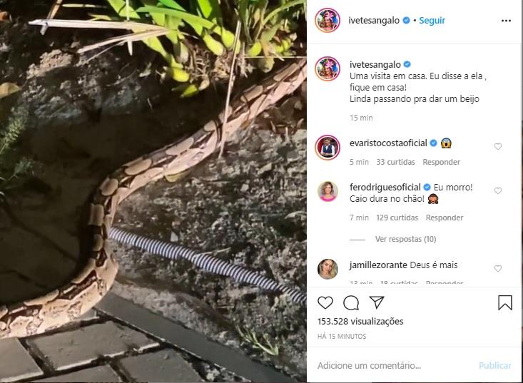 Ivete Sangalo e Claudia Leitte recebem surpresas inusitadas em suas casas
