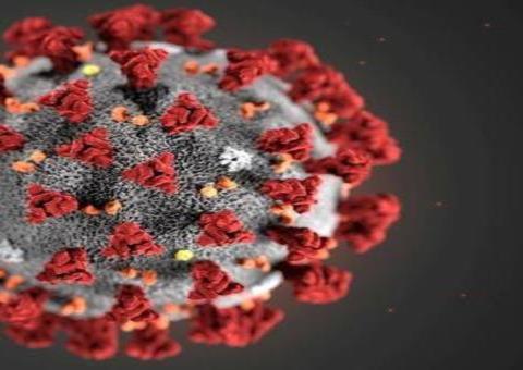 Parintins confirma novo caso de coronavírus e diz que monitora outras 240 pessoas 