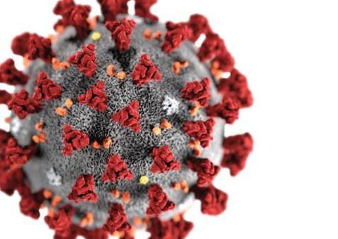 Brasil registra 1.124 óbitos pela covid-19; são mais de 20,7 mil casos