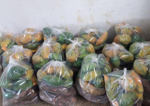  Sistema Sepror entrega 1.240 cestas básicas no Amazonas 