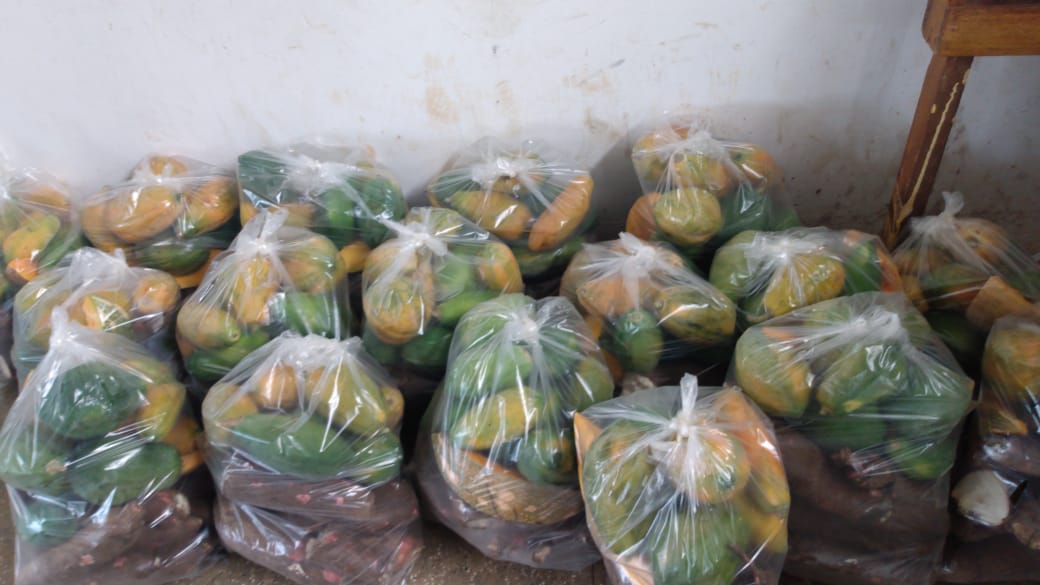  Sistema Sepror entrega 1.240 cestas básicas no Amazonas 