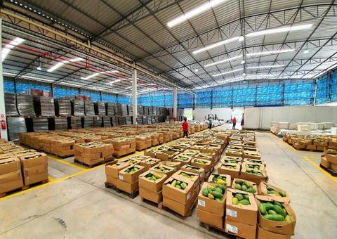 Mais de 100 toneladas de alimentos são doadas a pessoas em vulnerabilidade no Amazonas