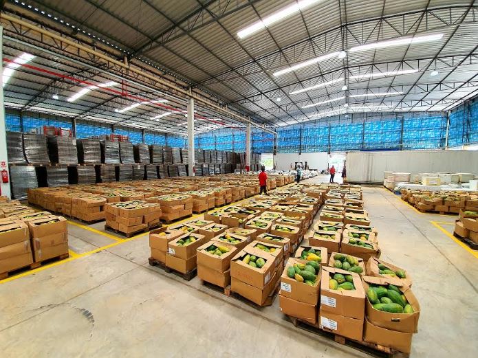 Mais de 100 toneladas de alimentos são doadas a pessoas em vulnerabilidade no Amazonas