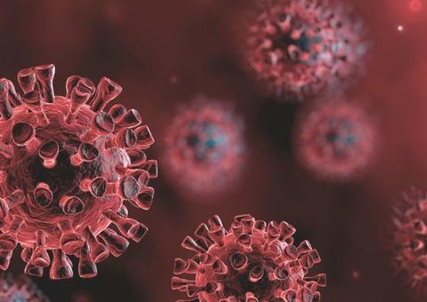 Subnotificações de coronavírus no Amazonas podem chegar a 22 mil, diz estudo