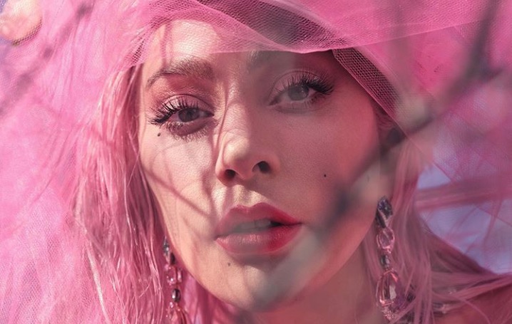 Programação de lives tem Lady Gaga, Anitta, Taylor Swift, Paul McCartney, Bon Jovi e mais