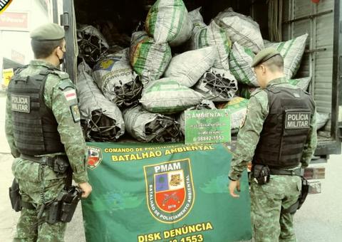 Veículo com carvão vegetal ilegal é apreendido na AM-010