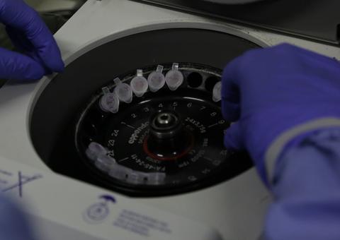 Instituto Butantan pretende desenvolver anticorpos contra covid-19 