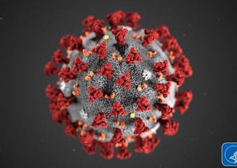 Origem do coronavírus volta ao centro da guerra fria entre EUA e China