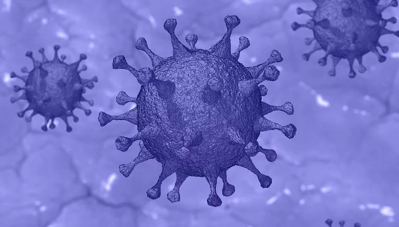 ‘Coronavírus foi fabricado em laboratório chinês’, afirma cientista descobridor do HIV