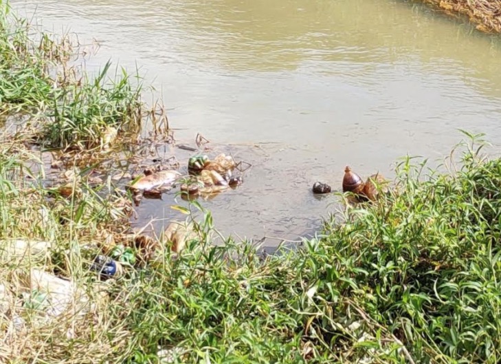 Ipaam investiga empresas suspeitas de vazarem óleo em igarapé de Manaus 