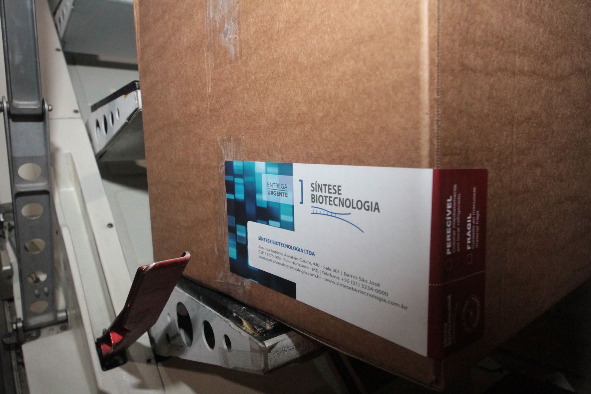 Amazonas recebe lote de insumos para 15 mil testes de Covid-19