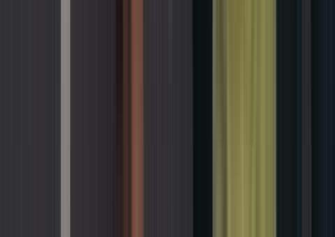 Confira em tempo real a manifestação contra o isolamento social em Manaus